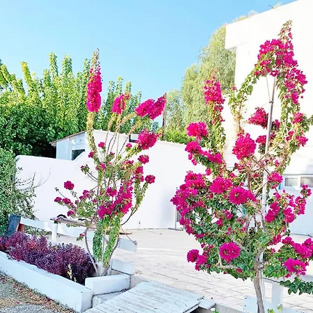 Studio At Very Near The Beach - Apollonio Apartment